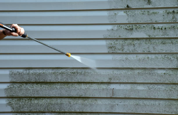 Best Roof Pressure Washing  in Leominster, MA